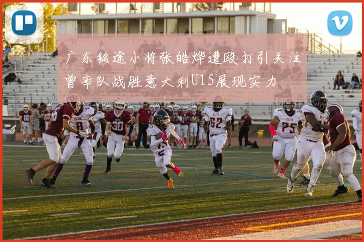 广东铭途小将张皓烨遭殴打引关注曾率队战胜意大利U15展现实力